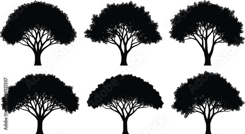 Black tree silhouette set with large leafy canopies, detailed branch structures, nature landscape elements for park and garden forest designs,