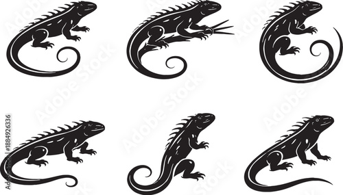 Monitor Lizard Icon Bundle Black White EPS