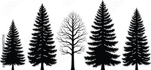 Black silhouette set of coniferous evergreen pine trees and one bare deciduous winter tree isolated on white background for forest landscape design and icons