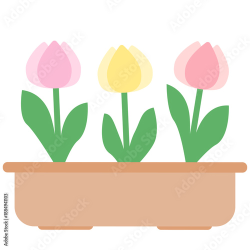 植木のチューリップ