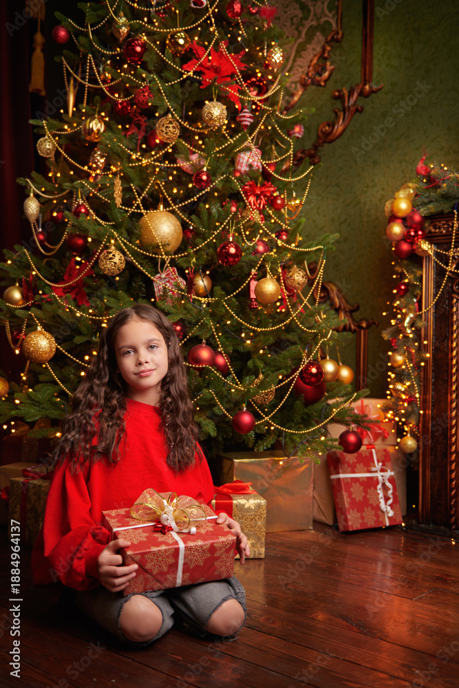 Obraz premium Christmas Gift Magic