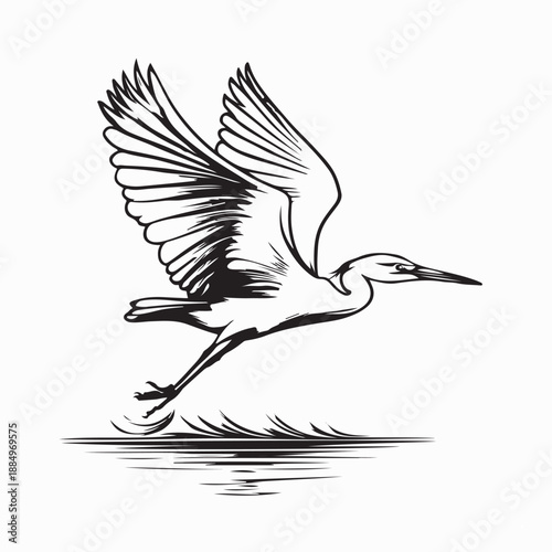 Heron Flying Over Water Image Vector Isolated on White background
