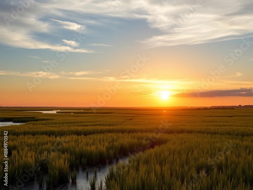Golden sun sets over a Virginia coastal salt marsh, where land meets brackish tides,  sunset,  wetlands