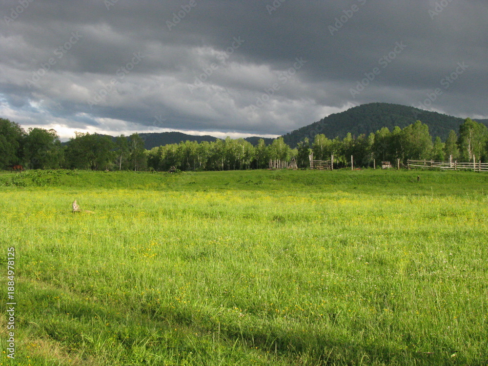 Fototapeta premium green field and blue sky
