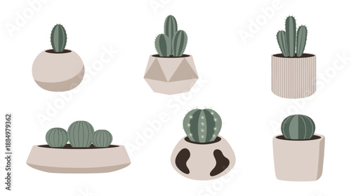 set of cactus plants vector