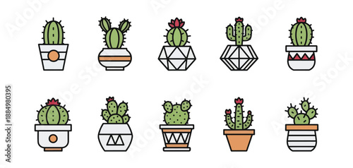 cactus in pots vector