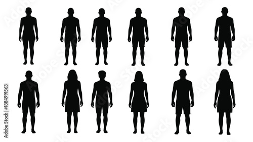 Collection of human silhouettes isolated on white background, Vector