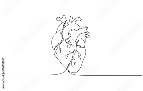 One continuous line drawing of anatomical human heart.