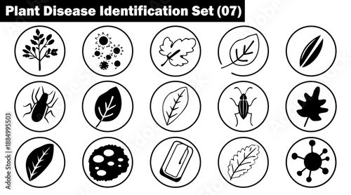 Set of black outlined icons for plant disease identification featuring leaves and insects vector illustration.
