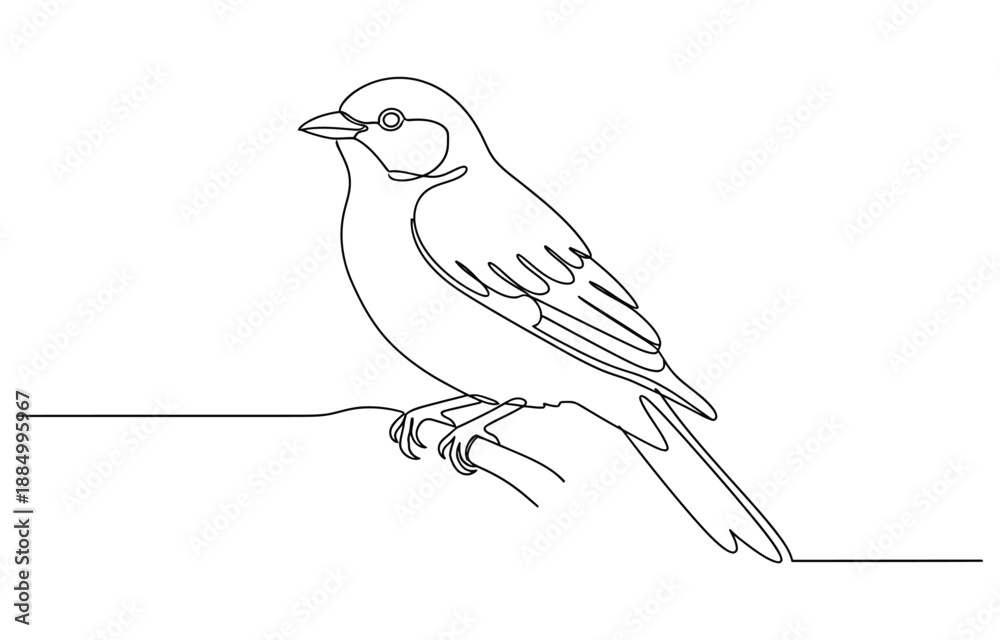 Obraz premium Bird on branches continuous one line drawing.