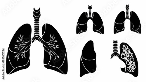 Set of human lung illustrations in silhouette.