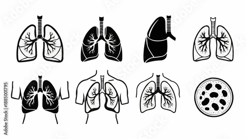Set of human lung illustrations in various styles and views.