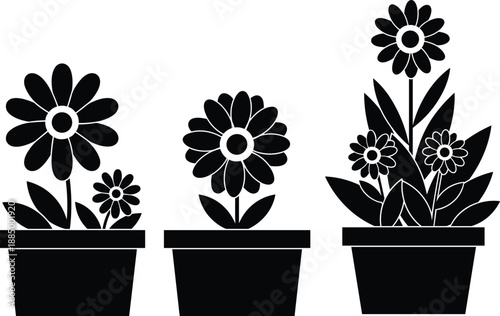 Black silhouette collection of spring garden daisy flowers in pots set isolated on white background for decorative floral design and interior vector