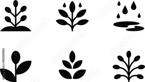 Set of Representing Plant Growth and Water