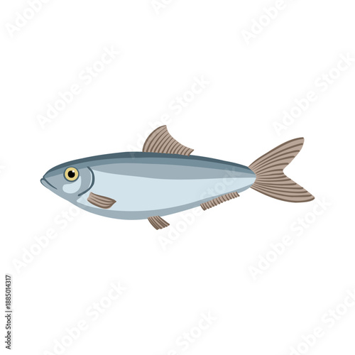 Tablou pe pânză vector drawing Black Sea sprat , Commercial fish isolated at white background, h