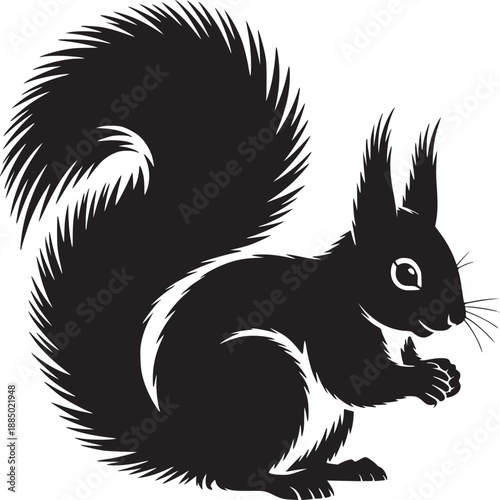 Silhouette of a squirrel sitting upright holding food with a fluffy tail on a white background