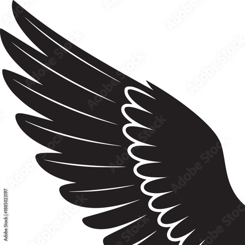 Illustration of a black and white wing with detailed feathers on a plain white background view from above