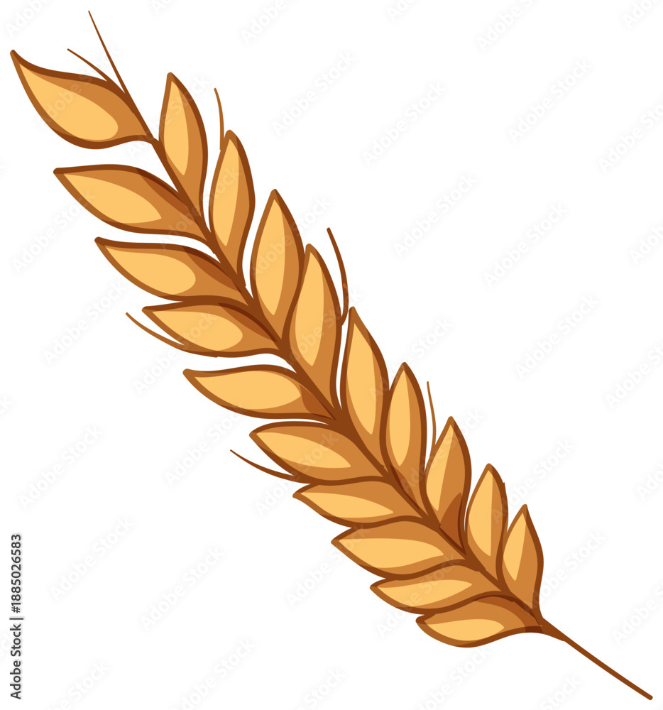 Fototapeta premium Single Golden Wheat Ear Vector Illustration Isolated on White Background