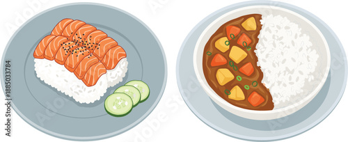 Delicious Japanese cuisine vector illustration featuring fresh salmon nigiri sushi with cucumber slices and a warm bowl of traditional beef curry rice.