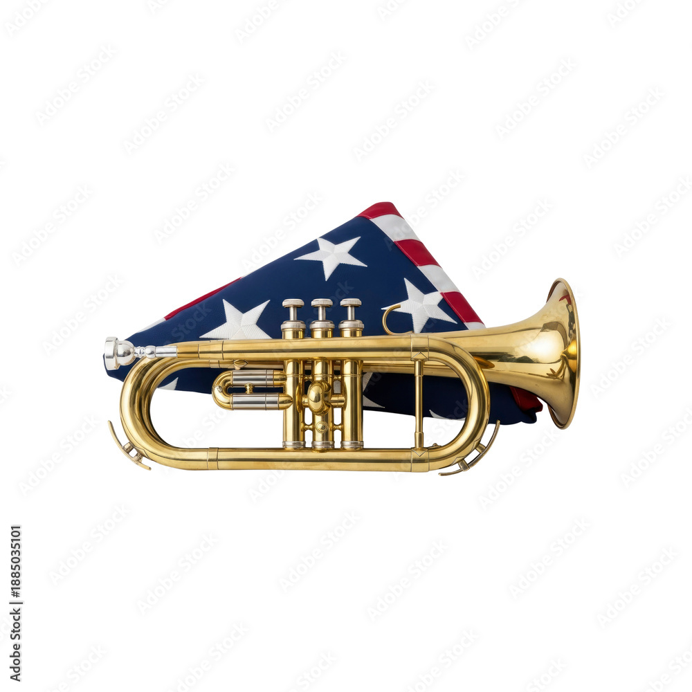 Fototapeta premium Cornet with American Flag