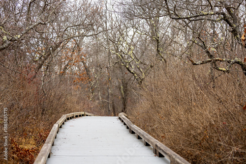 Snow covered wooden waking path through the forest