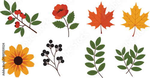 Two purple flowers side by side on white background