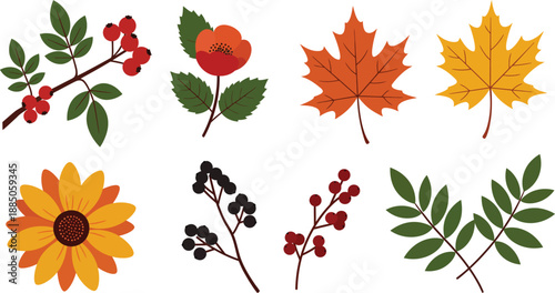 Autumn leaves and flowers with berries on white background