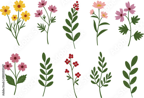 Collection of colorful flowers and leaves on white background