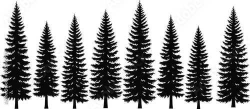 Pine tree silhouettes, forest shapes, botanical icons, nature design, vector illustration, black trees, minimal layout, evergreen forms, tree variety