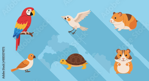 Collection of cartoon style animals featuring a parrot, birds, hamsters, and a turtle on a light blue background with shadows.