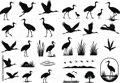 Sandhill Cranes Silhouette Vector Set – Flying, Standing, Wading, and Nature Elements