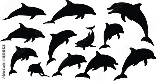 Silhouettes of dolphins swimming and jumping in various elegant marine poses, representing ocean wildlife, aquatic movement, sea mammals, and natural marine behavior on a white background.