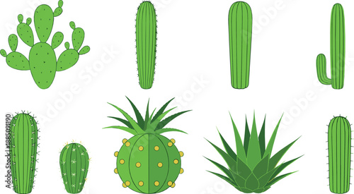 Cactus and succulent illustration set with desert plants aloe agave and prickly pear for nature design, landscaping, stickers, and flat vector art