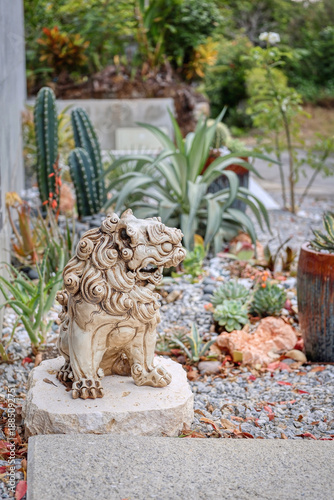 A dry xeriscape garden design in front of a modern concrete home in Okinawa, featuring cacti, aloe, agave and other succulent plants