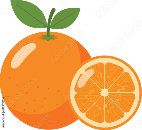 Vibrant orange fruit whole and slice healthy citrus food illustration vector