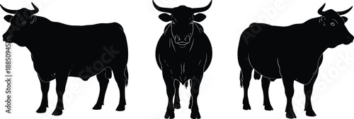 Set of three black bull silhouettes, standing cattle illustration in front and profile views, isolated vector on white background design.