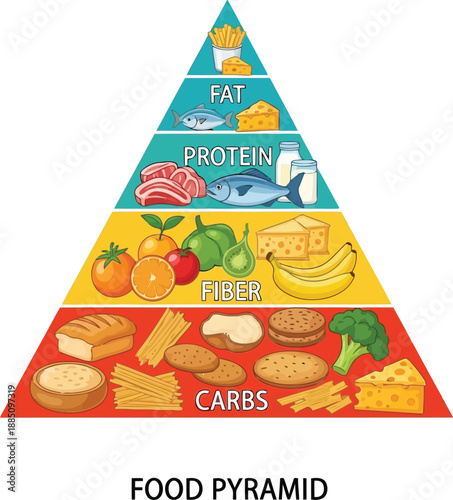 Colorful nutrition food pyramid chart illustrating healthy eating habits and balanced diet essentials vector