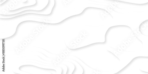 white topography map geography relief diagram texture design. Topography white background and black line world map texture design. Lines Topographic contour lines grid map seamless pattern.