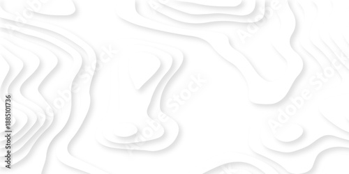 white topography map geography relief diagram texture design. Topography white background and black line world map texture design. Lines Topographic contour lines grid map seamless pattern.