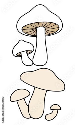 Mushroom vector, vector of mushroom collection, silhouette of mushroom