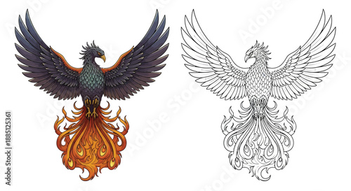 Phoenix Tattoo Design Sketch and Color Version With Flames for Mythical Art and Logo Design