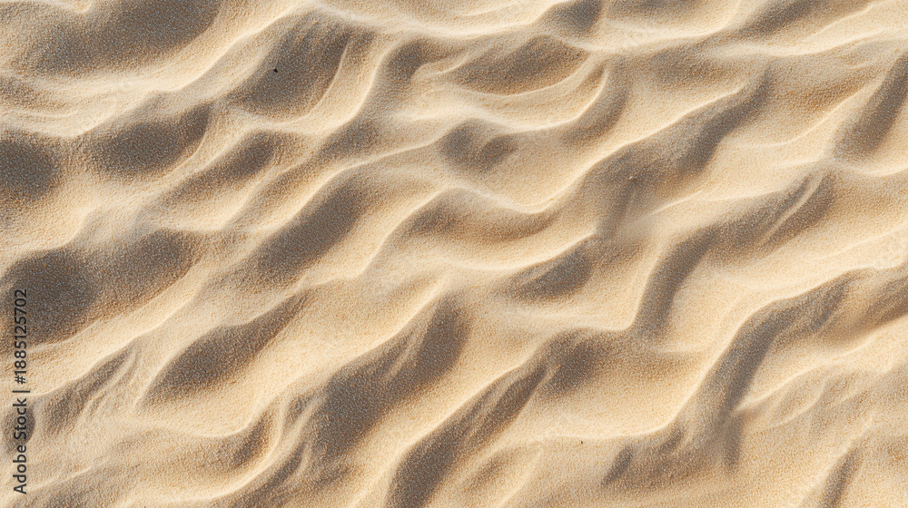 Obraz premium Rugged and detailed texture of golden sand dunes in sunlight