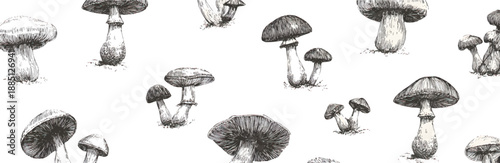 A pattern of mushrooms and toadstools, designed in the style of an ink drawing on a transparent background