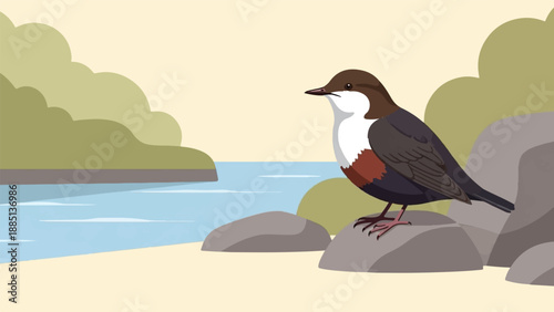 A dipper bird with white breast and brown back stands on rocks by a river