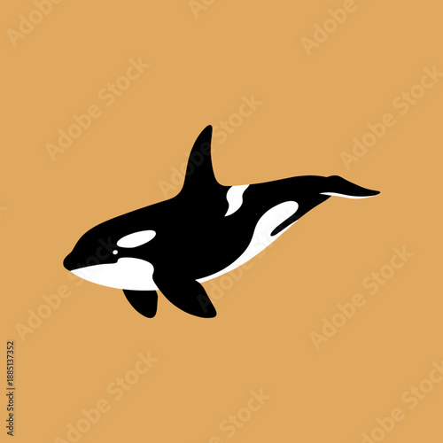 Minimalist flat vector illustration of a killer whale orca swimming isolated on brown background, marine life and wildlife conservation concept.