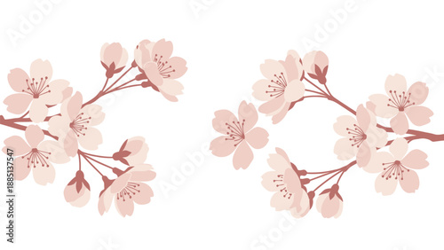 Delicate Cherry Blossoms Branching Out, Spring Flora