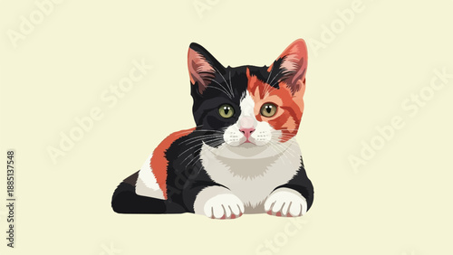 A calico kitten lies down against a pale yellow background