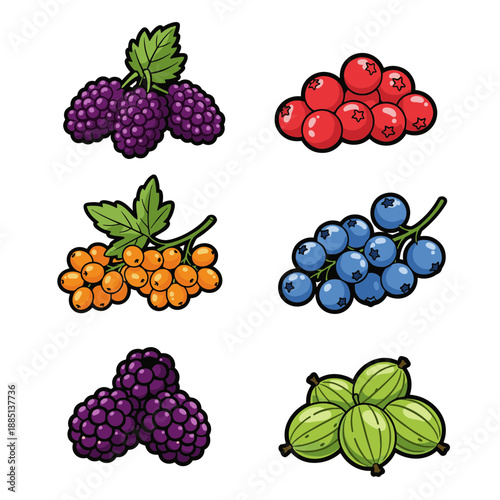 Variety of fresh organic berries set including blackberry cranberry sea buckthorn blueberry and gooseberry isolated on white background