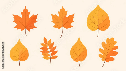 A collection of colorful autumn leaves with visible veins