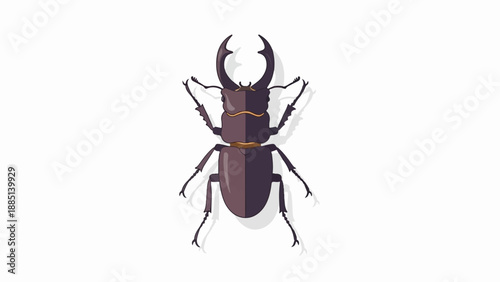 A detailed, flat illustration of a large stag beetle with prominent mandibles